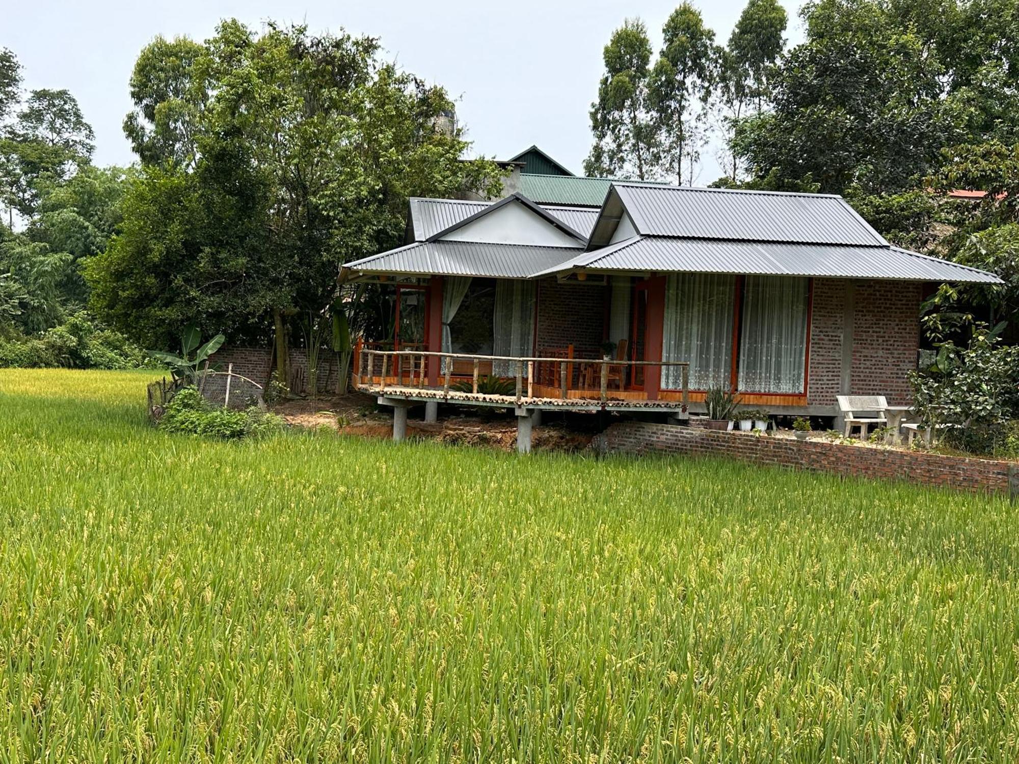 Vulinh Family -Homestay Yen Binh Exterior photo